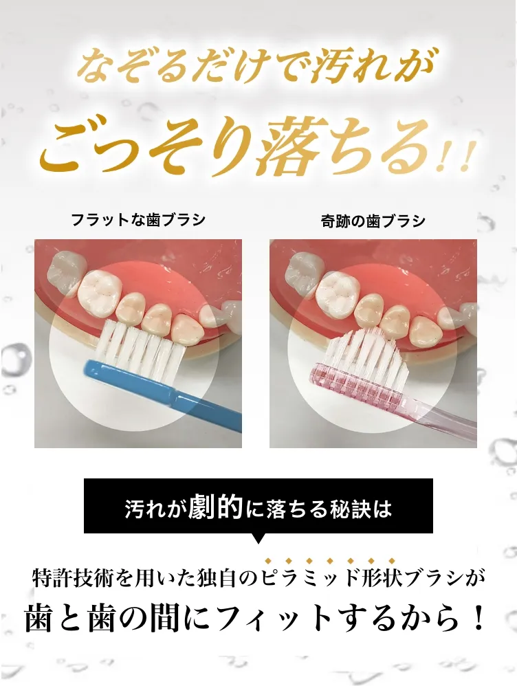 通販の虎×奇跡の歯ブラシ