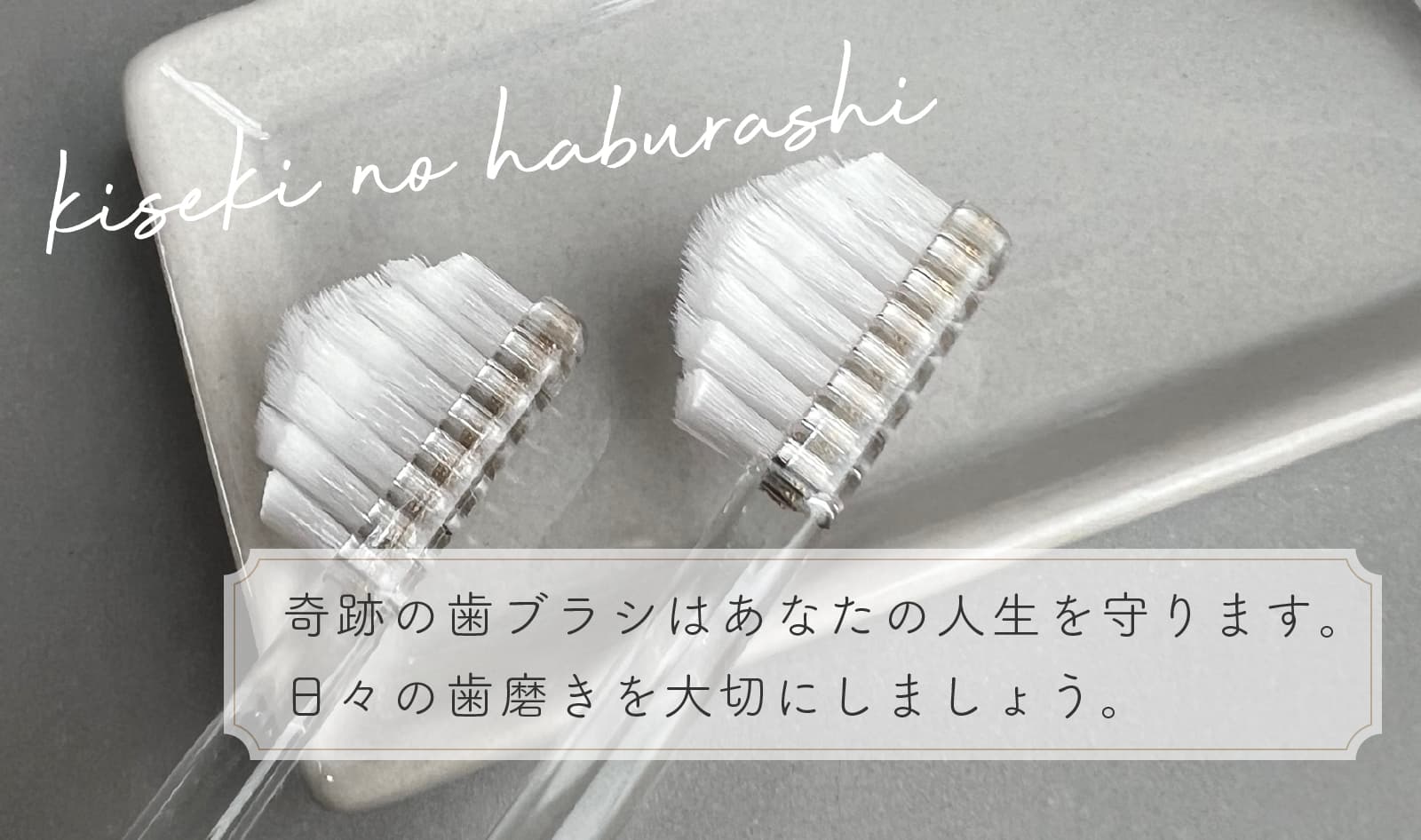 日々の歯磨きを大切にしましょう