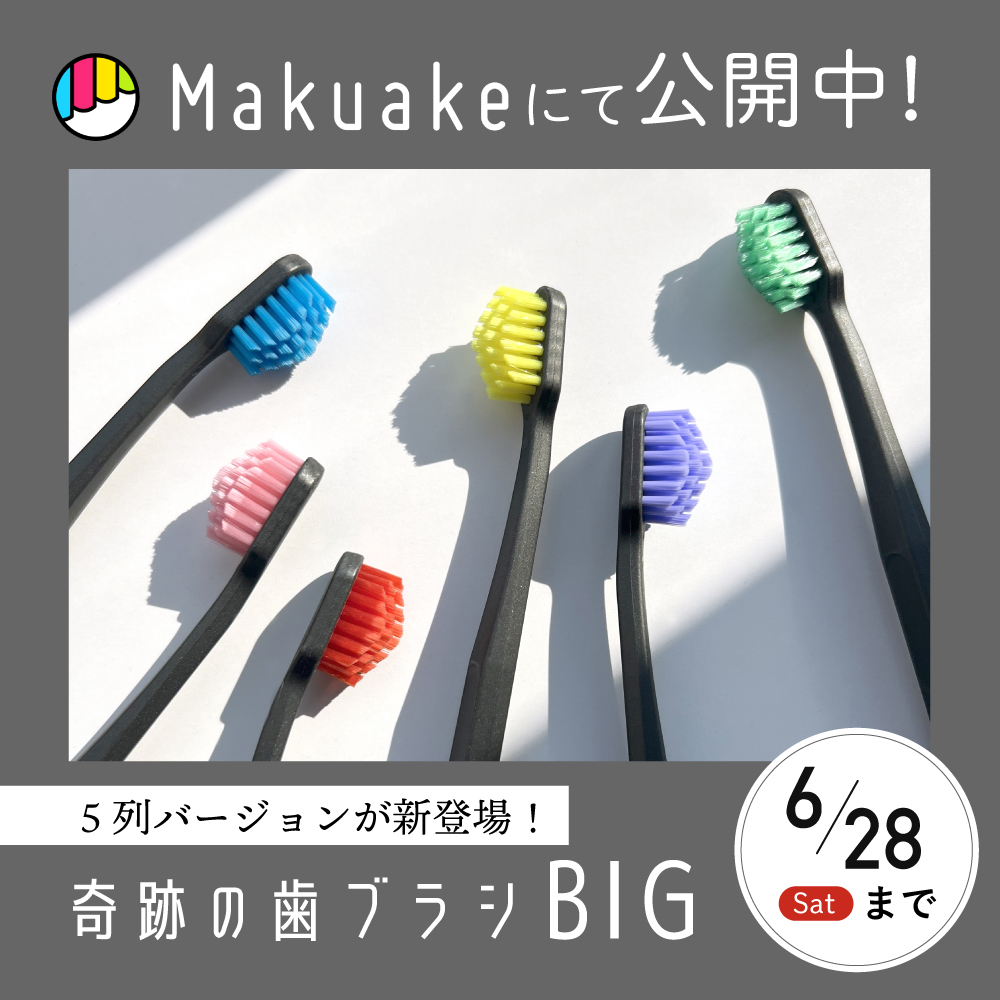 makuake_BIG.jpg