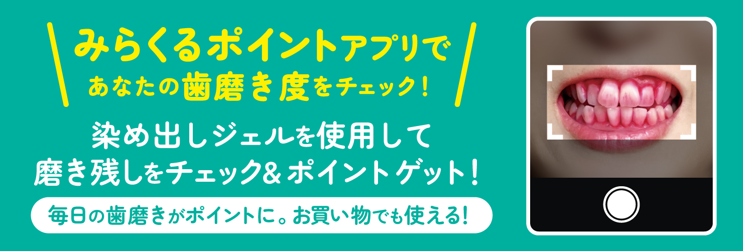 奇跡の歯ブラシSP 17本セット&キャップ3個 大人用 毛の硬さ柔らかめ 奇跡の歯ブラシSP17本セット&キャップ3個 大人用 毛の硬さ柔らかめ
