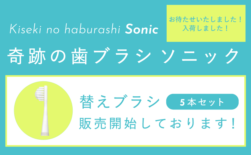 recommend_sonic_kae.jpg