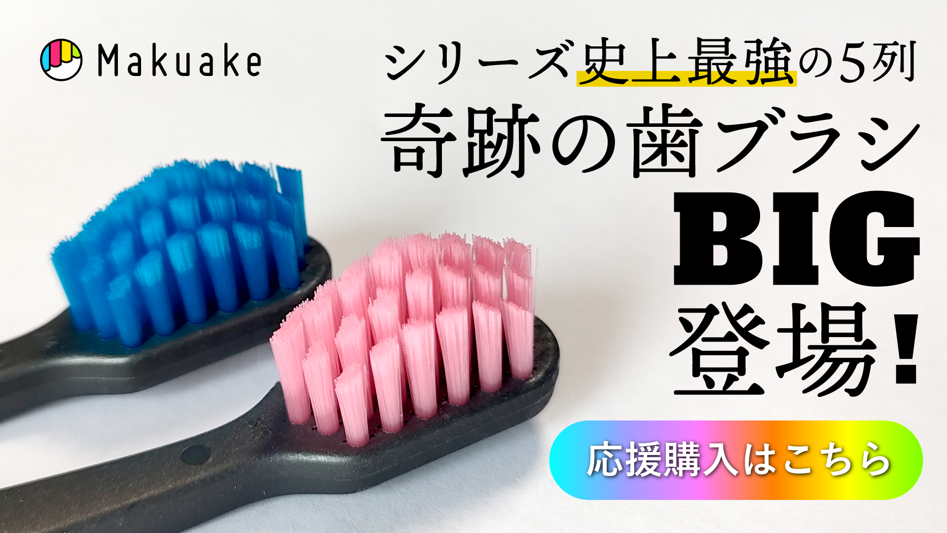 奇跡の歯ブラシBIGをマクアケで応援購入