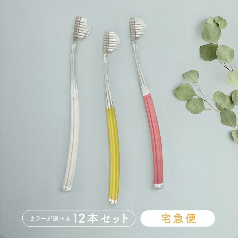 奇跡の歯ブラシ12本カラー選択【宅急便】