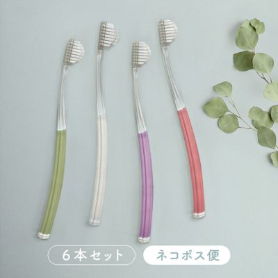 奇跡の歯ブラシ6本【ネコポス】