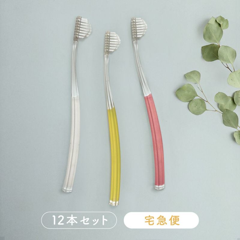 奇跡の歯ブラシ１２本【宅急便】