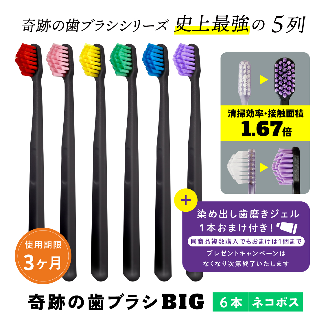 000000000260-01-l.jpg?t=