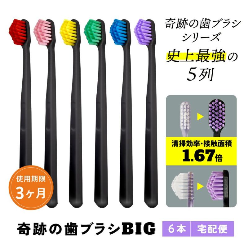 000000000261-01-l.jpg?t=