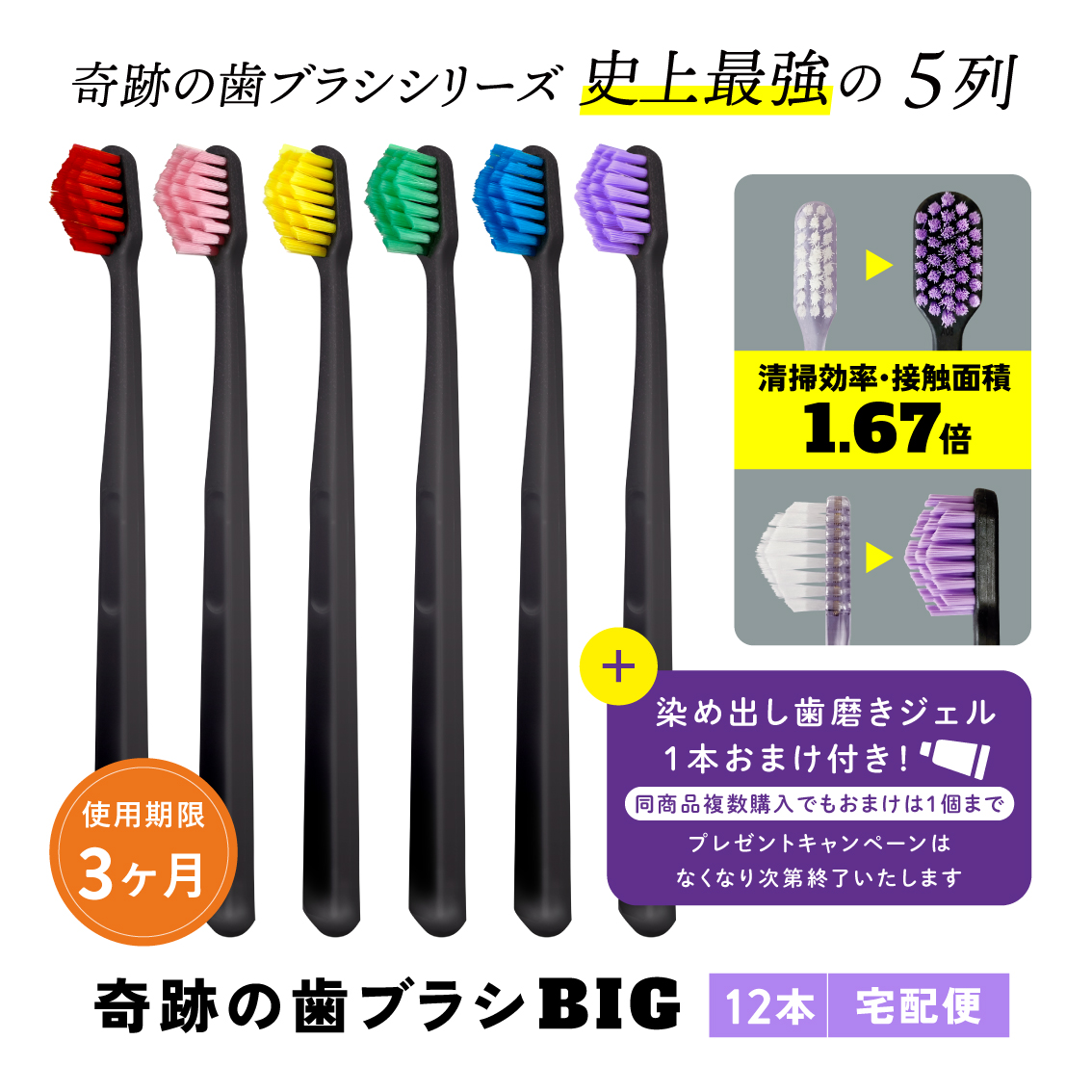 奇跡の歯ブラシBIG 12本【宅配便】 | ［公式］奇跡の歯ブラシweb shop